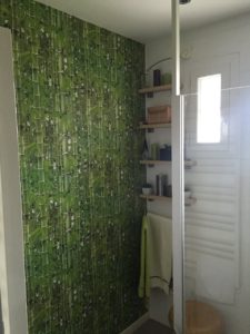 Salle de bains pose papier peint trompe l'oeil Bambou Veigné